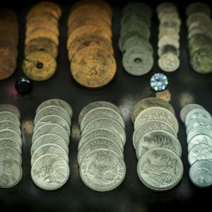 Image of numismatic coins in a display case