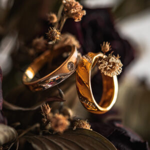 Image of two gold wedding rings hanging on a tree branch.